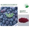 宝鸡润木现货供应 蓝莓果粉 蓝莓10:1 食品保健品原料