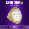 BAD808-I仓库防爆灯 LED防爆灯30W 24V防爆灯