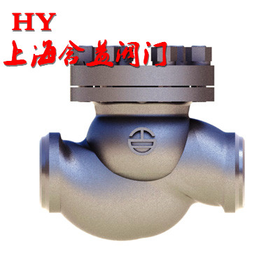 低温止回阀 DH-65 80 100_副本