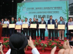2020上海国际民宿乡村旅居产业博览会