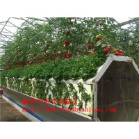 厂家定制 立柱式无土栽培设备 草莓种植槽 无土栽培温室种植