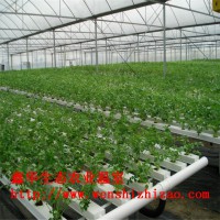 PVC草莓种植槽 蔬菜立体栽培槽 无土栽培水培设备 鑫华直供