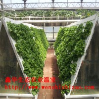 长期销售 PVC草莓基质栽培槽 立体式无土种植槽 水培A字架