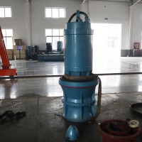 湖北QZB900-80轴流泵大功率水利工程潜水轴流泵
