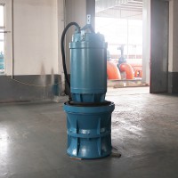 排洪泵站更换轴流泵 固定式安装轴流泵
