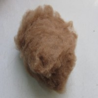 批发供应 水洗精梳细支驼绒 脱脂天然棉衣填充驼绒