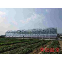 湖北宜昌连栋PC板-玻璃温室的工程案例