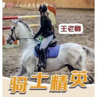 苏州儿童暑期夏令营三六六教育社会实践之马术骑士精英活动报名