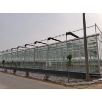 重庆建设连栋玻璃温室大棚搭建技术 玻璃温室大棚支架