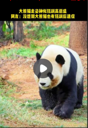 QQ图片20230304123553