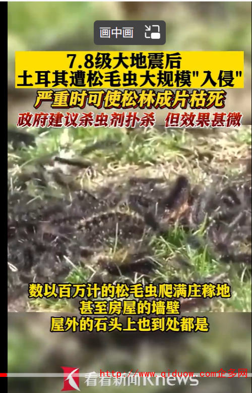 QQ图片20230306094612