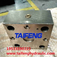 TAIFENG现货供应TLFA16KWA-7X梭阀控制盖板